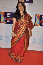 Shaina NC at Zee Awards red carpet in Mumbai on 6th Jan 2013 (10).JPG